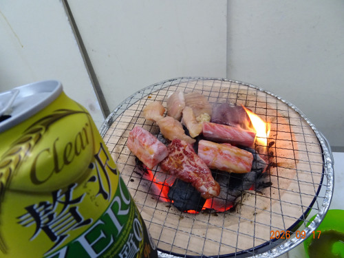 DSC06907.JPG