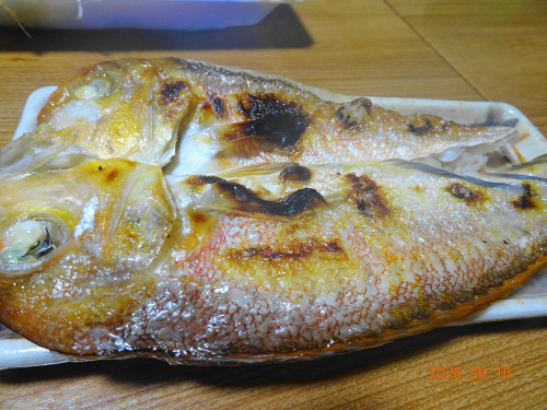 DSC06879.JPG