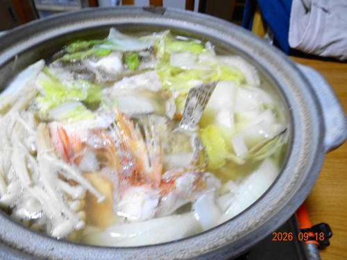DSC06931.JPG