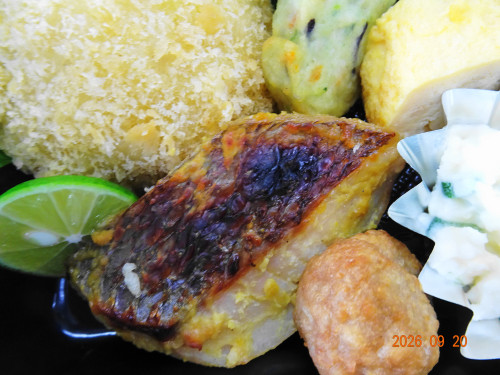DSC06960.JPG