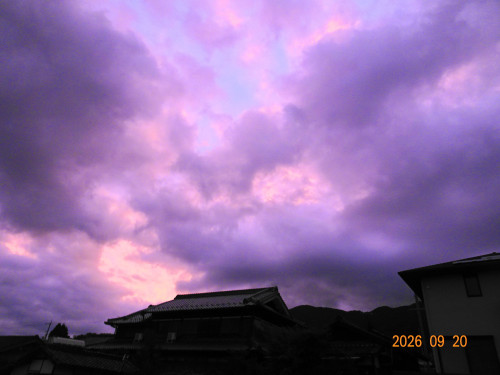 DSC06969.JPG