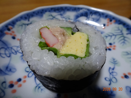 DSC06970.JPG