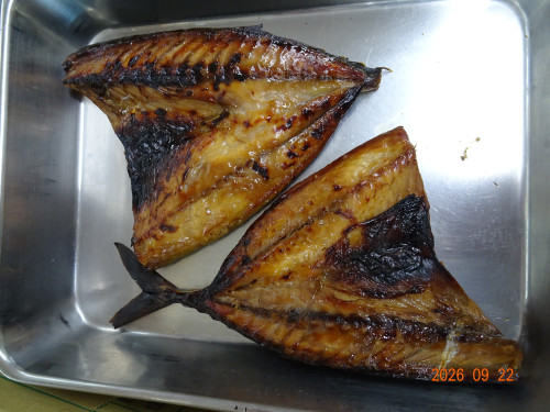 DSC07008.JPG