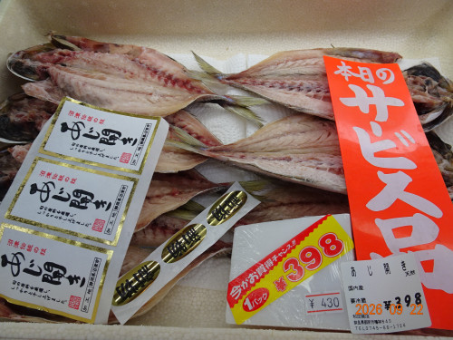 DSC07006.JPG