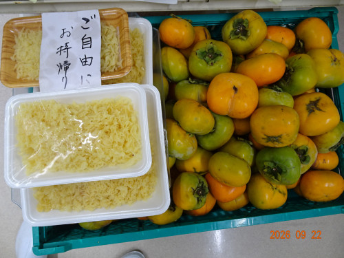 DSC07002.JPG