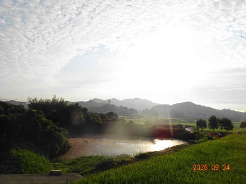 DSC07020.JPG