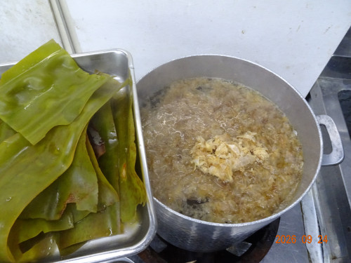 DSC07042.JPG