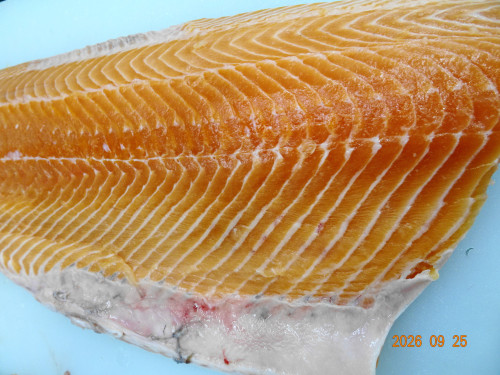 DSC07055.JPG
