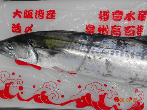 DSC07061.JPG