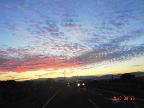 DSC07049.JPG