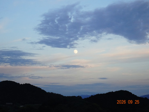 DSC07084.JPG