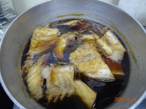 DSC07092.JPG