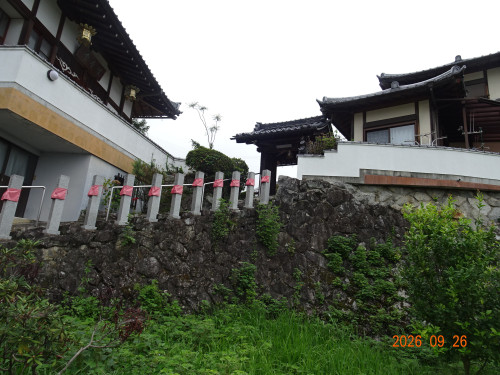 DSC07104.JPG
