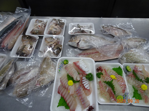 DSC07110.JPG