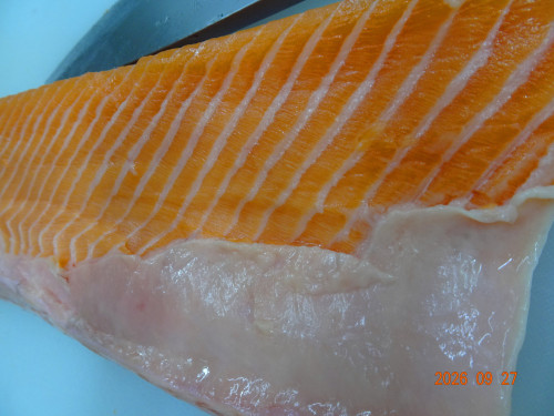 DSC07112.JPG