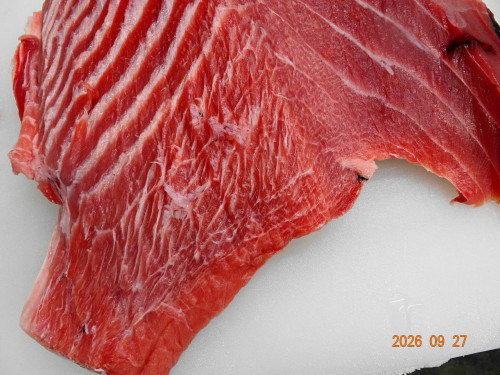 DSC07114.JPG