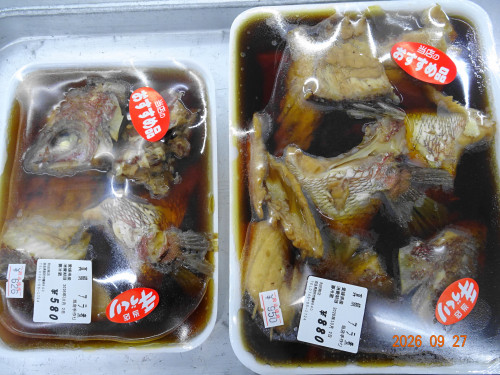 DSC07128.JPG