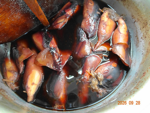 DSC07150.JPG