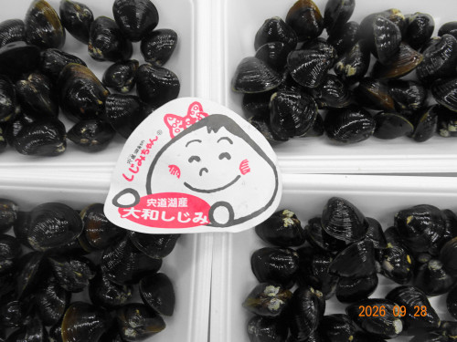 DSC07137.JPG