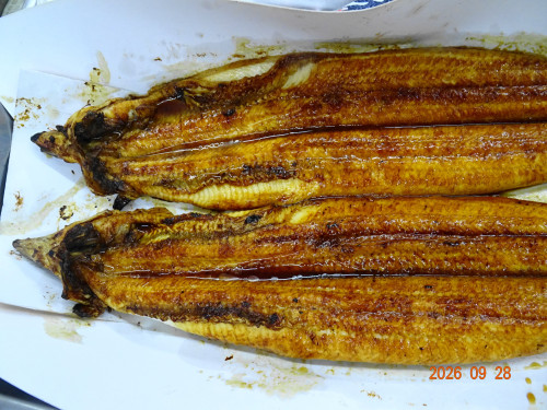DSC07135.JPG