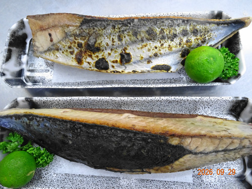 DSC07161.JPG