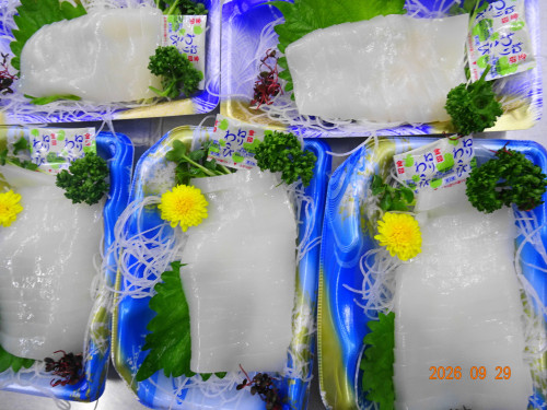 DSC07166.JPG