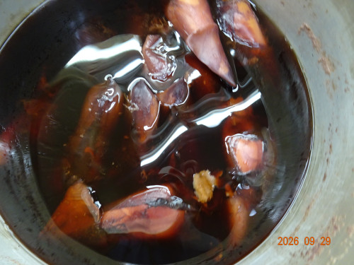 DSC07178.JPG