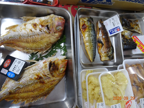 DSC07182.JPG