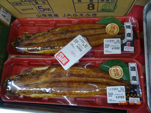 DSC07184.JPG