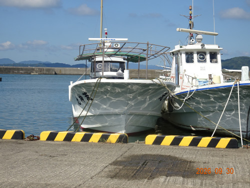 DSC07191.JPG