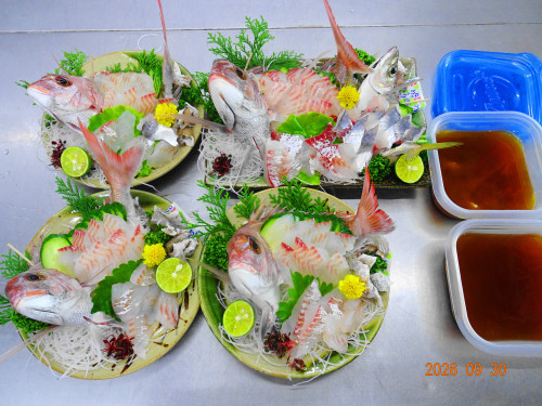 DSC07202.JPG