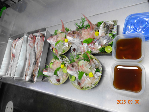 DSC07203.JPG