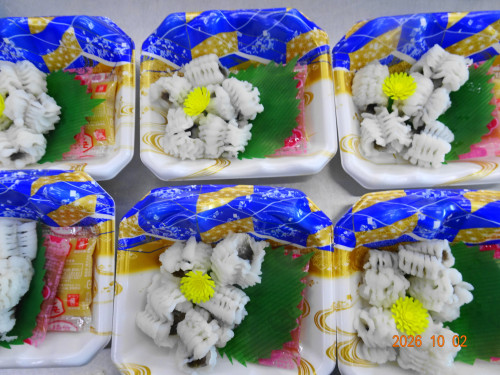 DSC07246.JPG