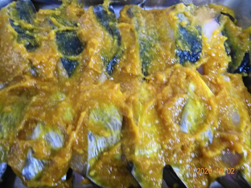 DSC07248.JPG