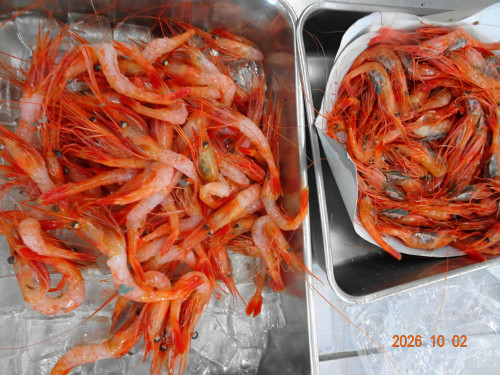 DSC07244.JPG