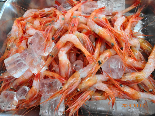 DSC07245.JPG