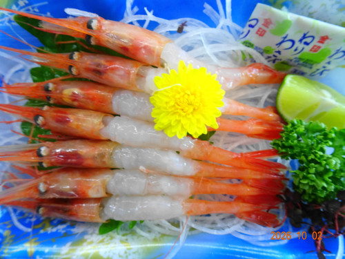 DSC07253.JPG