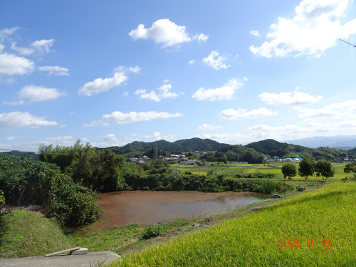 DSC07255.JPG