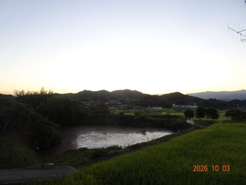 DSC07264.JPG
