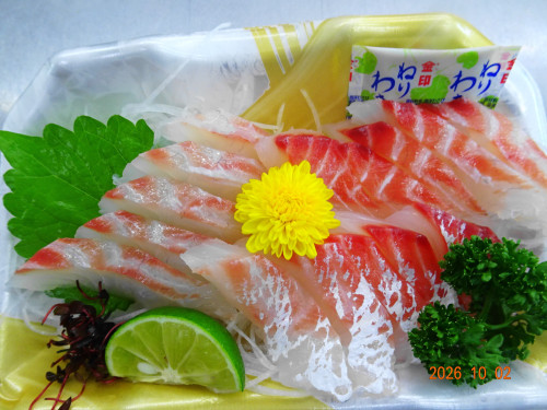 DSC07256.JPG