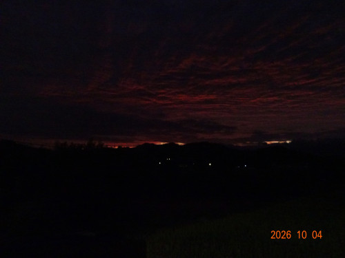 DSC07281.JPG