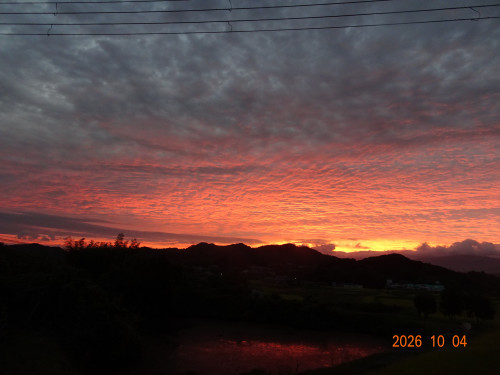 DSC07284.JPG