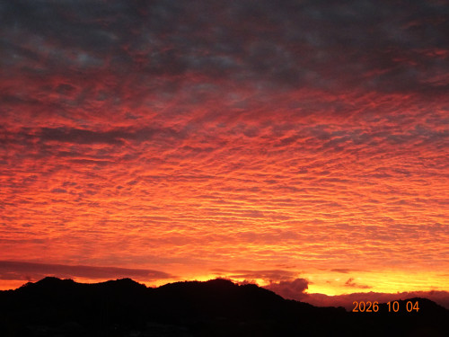 DSC07285.JPG