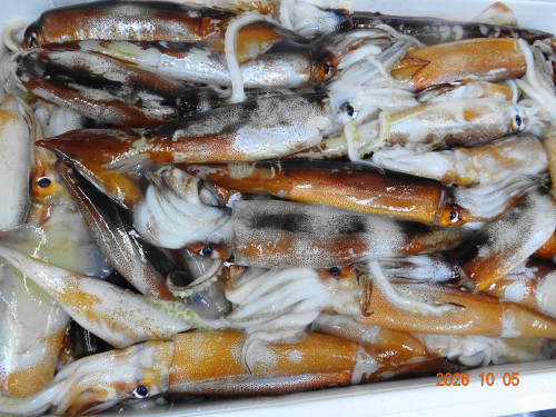 DSC07304.JPG