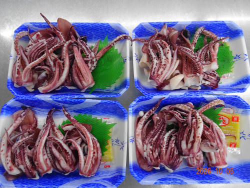 DSC07325.JPG