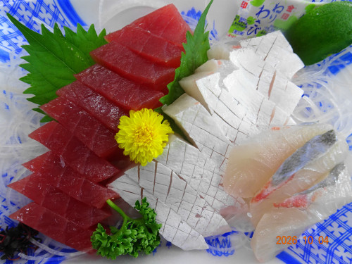 DSC07295.JPG