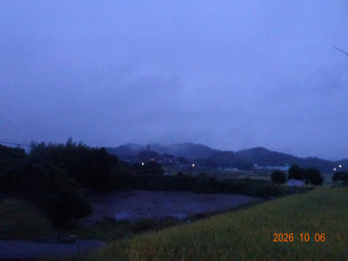 DSC07341.JPG