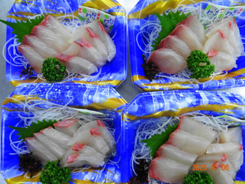 DSC07345.JPG