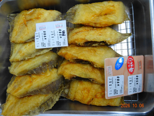 DSC07354.JPG