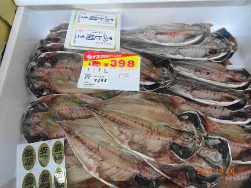 DSC07355.JPG